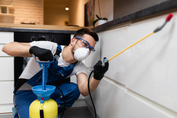 Best Pest Control Treatment  in East Canton, OH