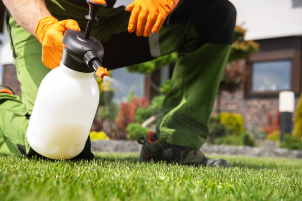 Best Termite Control Services  in East Canton, OH