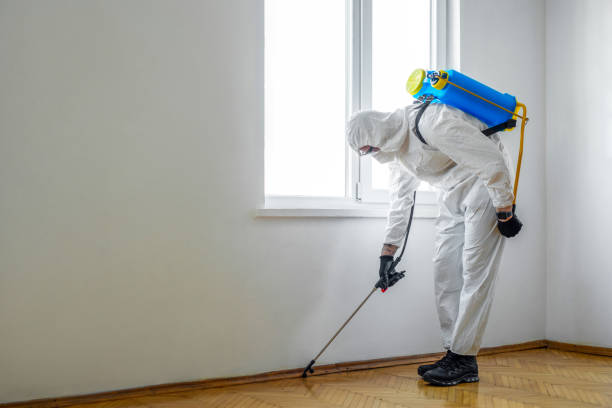 Best Best Pest Control Companies  in East Canton, OH