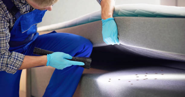 Best Flea Control Services  in East Canton, OH
