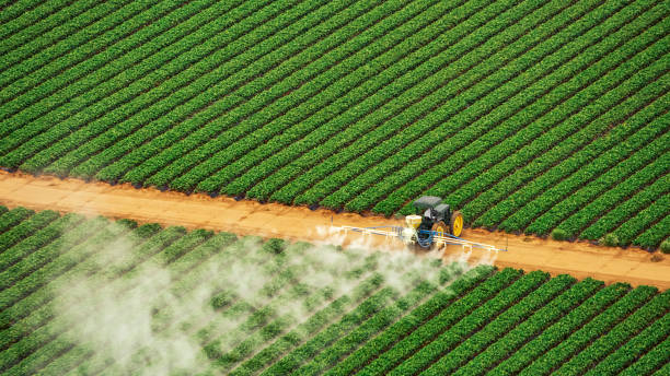 Best Pest Removal Services  in East Canton, OH