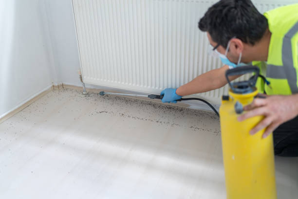 Best Affordable Pest Control Services  in East Canton, OH